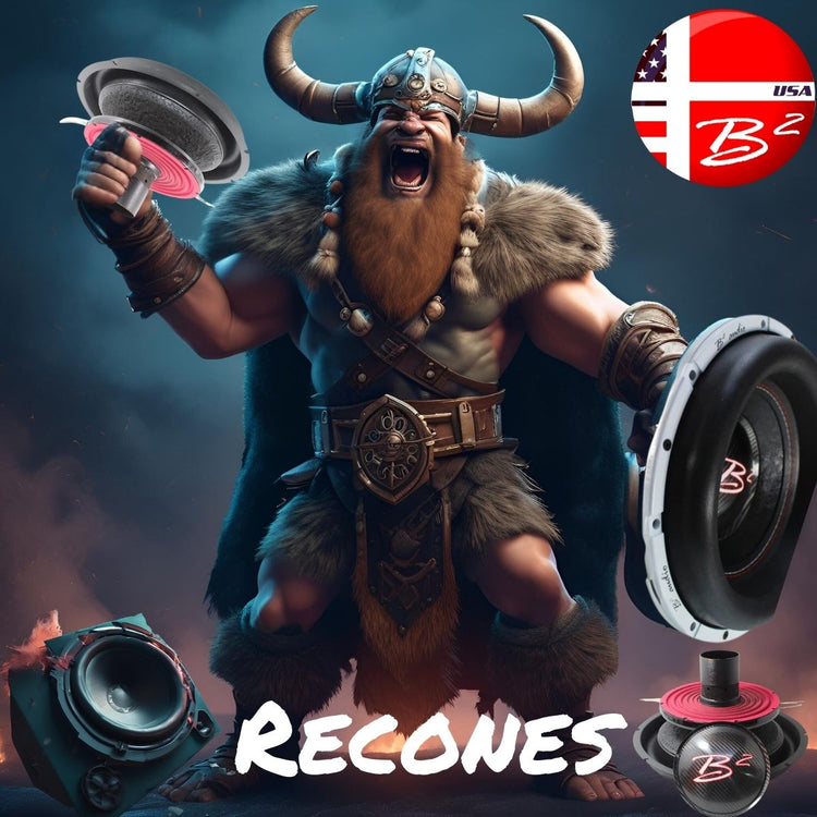 viking holding B2 Audio Rage Series recones and subwoofer