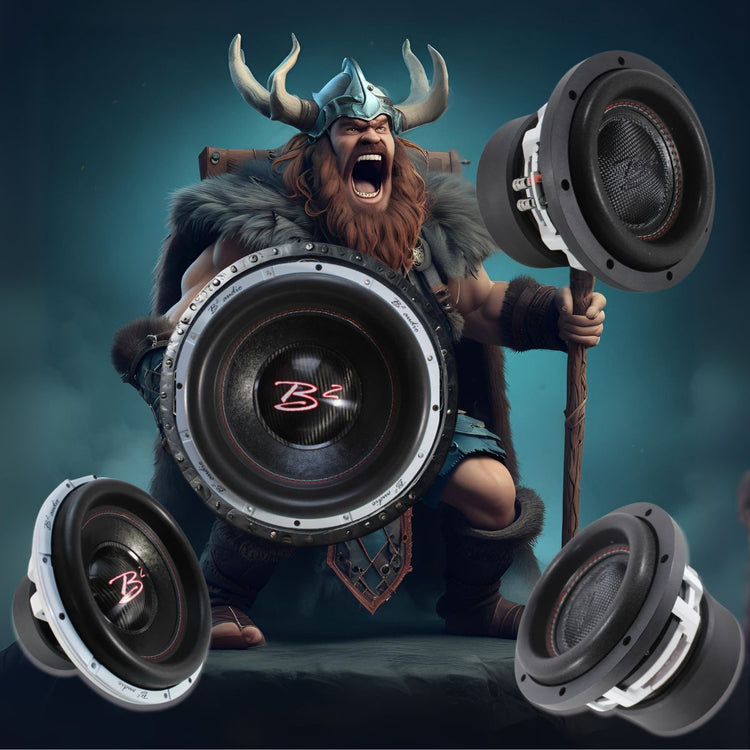 Viking holding B2 Audio Rage Series Subwoofer