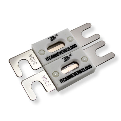 B2 Audio 300A ANL High Temperature Ceramic Fuse Pair ANL-300A