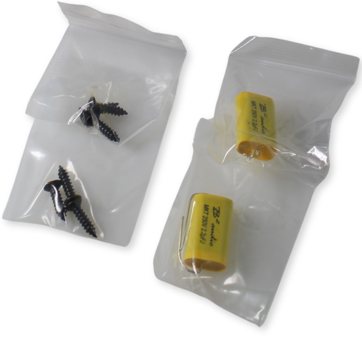 B2-RAGE-ST-NEO View of screws and capacitors