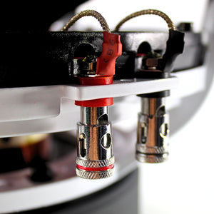 B2 Audio RIOT Series V2 12" 1000 Watt RMS Dual 4-Ohm 3" Voice Coil Subwoofer