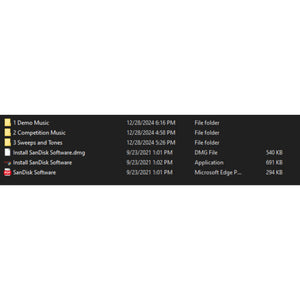 Dj Dirty Bass 64 GB Car Audio Competition / Demo Music Flash Drive