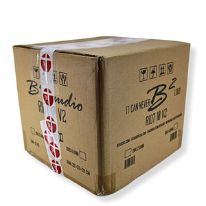 B2 Audio 10" 750W RMS Dual 2-Ohm 3" Voice Coil Riot Subwoofer