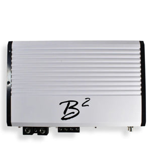 Dual B2 Audio RIOT 12" D4 2000W RMS Subs with RAGE 2300.2 Amp