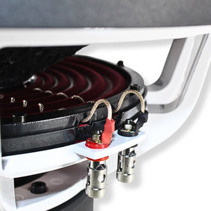 B2 Audio 15" Subwoofer 1000W RMS 3" Voice Coil Dual 2-Ohm RIOT