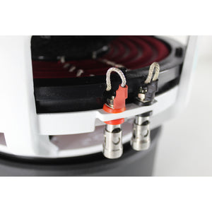 B2 Audio RIOT Series V2 10" 750 Watt RMS Dual 4-Ohm 3" Voice Coil Subwoofer