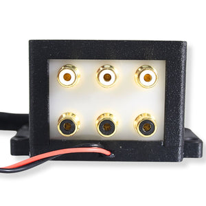 B2 Audio Cockbox 2x6 RCA Splitter Distribution Block w/ RGB LED Lights