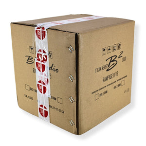 B2 Audio RAMPAGE 8 V3 8" Dual 1-Ohm 2" Voice Coil 1000 Watt RMS Subwoofer