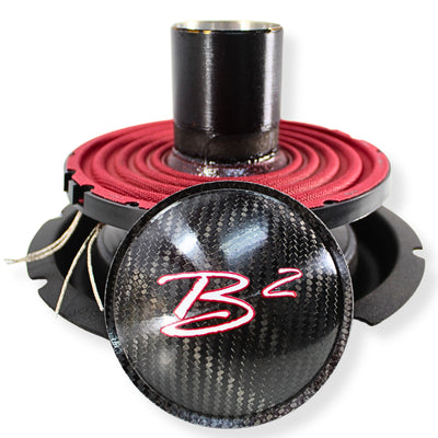Front View of B2 Audio RAMPAGE8 1-OHM Drop-In Recone Kit for Enhanced Performance
