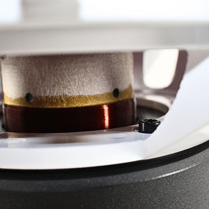 B2 Audio 15" 750W RMS Dual 2-Ohm 3" Voice Coil Riot Subwoofer