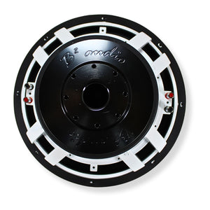 B2 Audio 15" 750W RMS Dual 2-Ohm 3" Voice Coil Riot Subwoofer