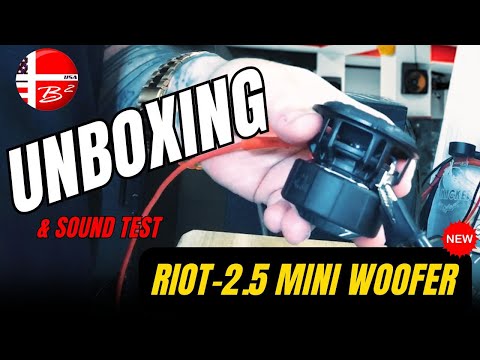 B2 Audio RIOT 2.5 Mini Woofer 2.5