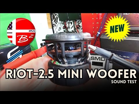 B2 Audio RIOT 2.5 Mini Woofer 2.5